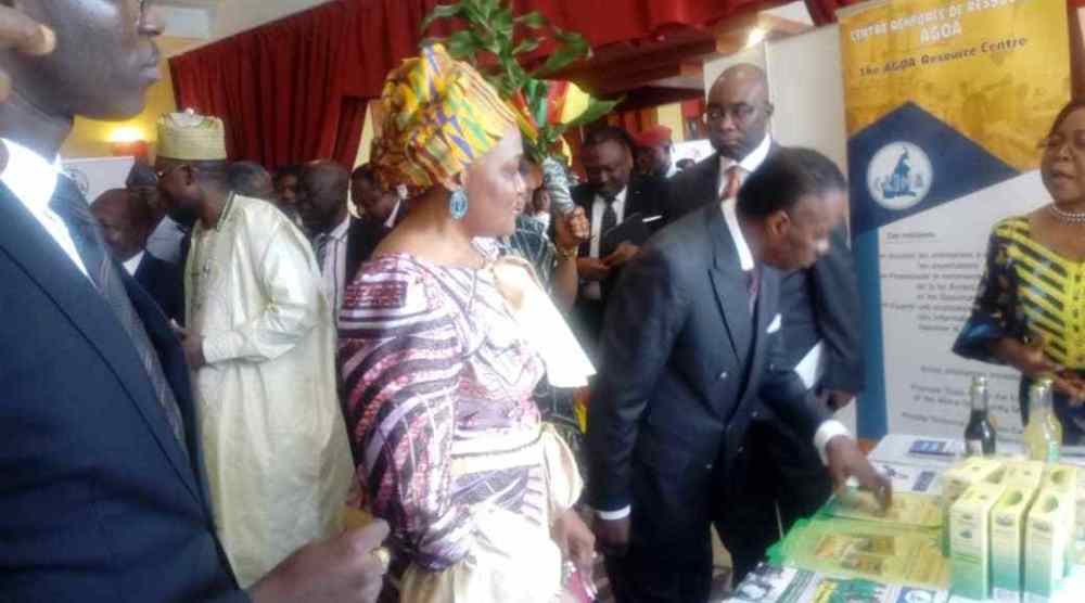 Amélioration du climat des affaires : Le Cameroun désormais outillé