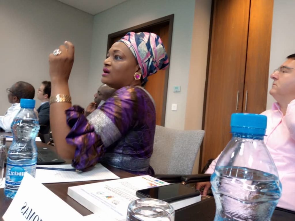 Pr. Justine Diffo présentant la synthèse des travaux du 25 mars